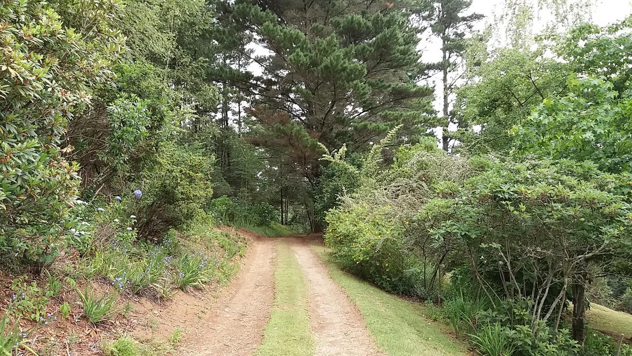 Chalet Athanor Hogsback